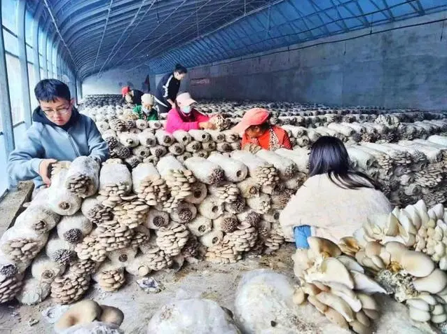 微信截图_20231031151734.png